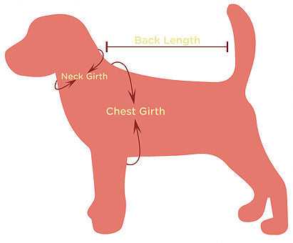 The Chrome Naturals Collection Pet Collar